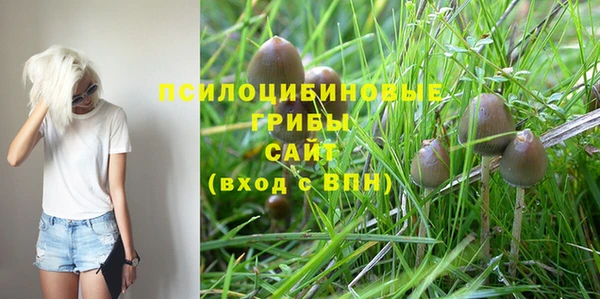 винт Надым