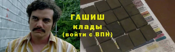 прущие грибы Горно-Алтайск