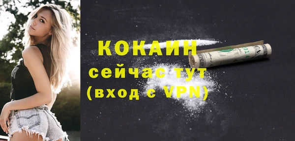 винт Надым
