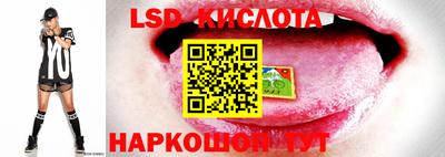 Альфа ПВП Берёзовский
