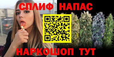 a pvp Беслан