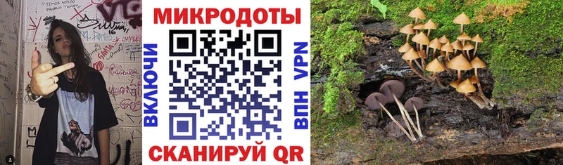 Галлюциногенные грибы GOLDEN TEACHER  даркнет сайт  Всеволожск 