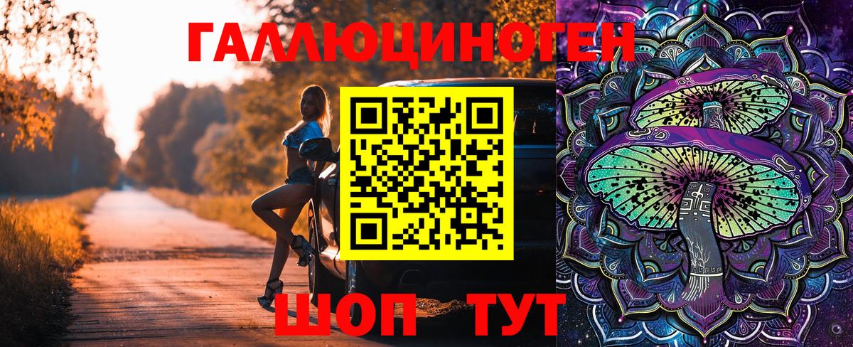 Псилоцибиновые грибы прущие грибы  Всеволожск  Псилоцибиновые грибы GOLDEN TEACHER 