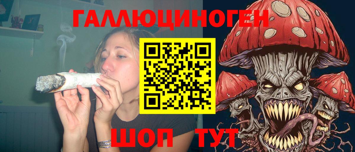 Галлюциногенные грибы Psilocybine cubensis Всеволожск