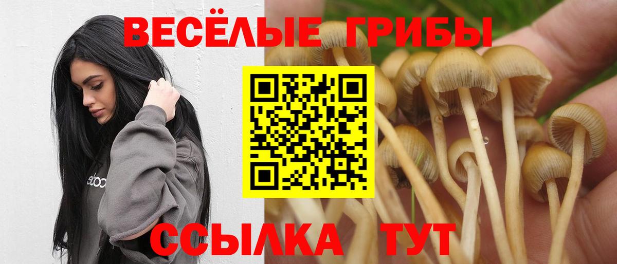 Псилоцибиновые грибы GOLDEN TEACHER Всеволожск