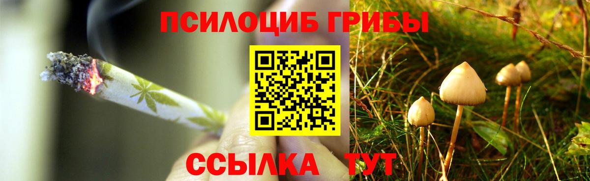 A PVP Всеволожск