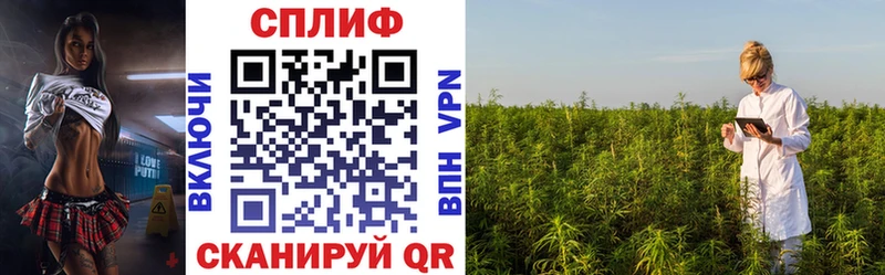 где найти наркотики  ОМГ ОМГ рабочий сайт  Бошки Шишки план  Всеволожск 